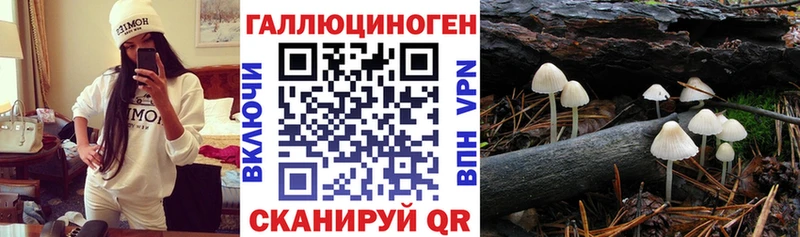 Галлюциногенные грибы GOLDEN TEACHER  Гаджиево 